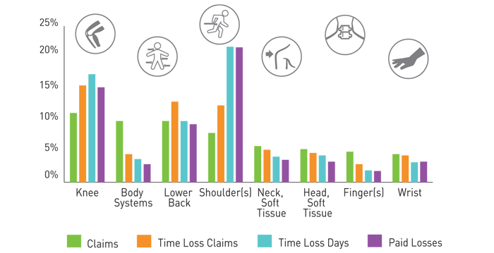 Body Part Injury Chart