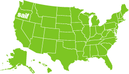 A lime green map of the continental United States