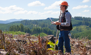 Reforestation forum