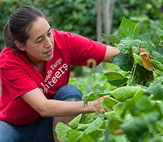 Food Bank garden volunteer