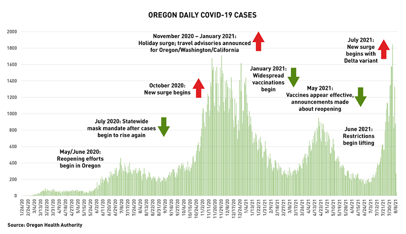 Daily case count graph