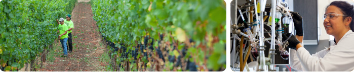 A to Z Wineworks