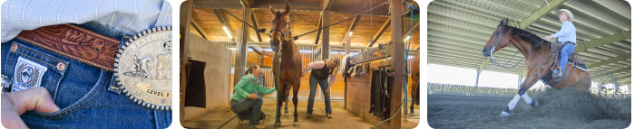 John Irish Performance Horses