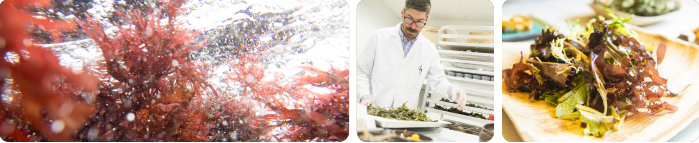 Oregon State University - Hatfield Marine Science Center