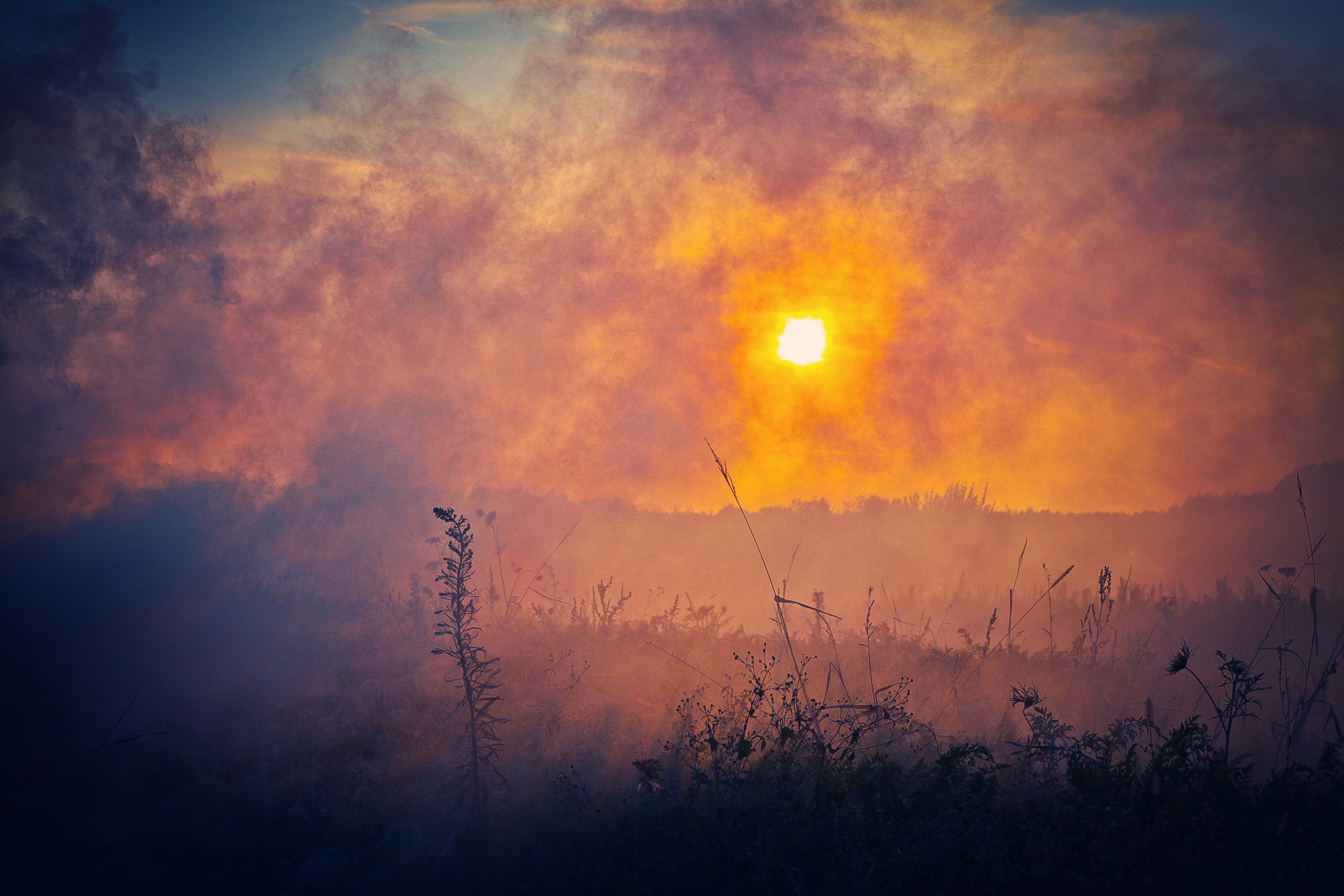 Prepare for wildfires