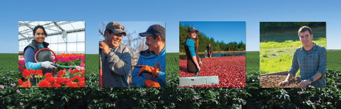 Free ag safety and health seminars