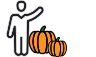 Picking pumpkins